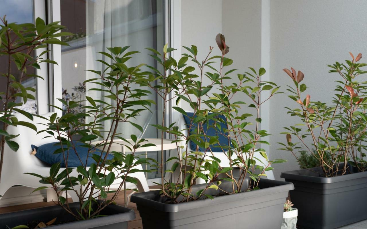 Apartment Profondo พูลา ภายนอก รูปภาพ
